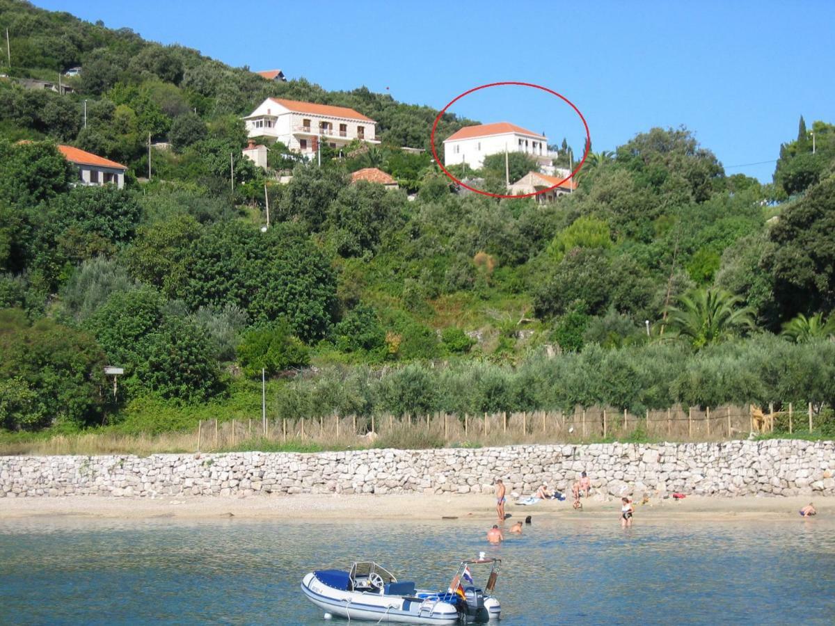 Diving Apartment Molunat